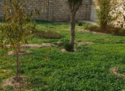 Satılır 1 otaqlı 45 m2 bağ evi Buzovna