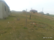 Satılır 17 sot torpaq Nübar