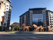 Satılır 2 otaqlı 85 m2 yeni tikili Ağ şəhər