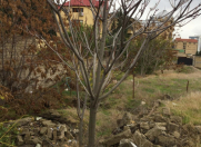 Satılır 6.5 sot torpaq Nəriman Nərimanov m.