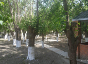 Satılır 1 otaqlı 400 m2 obyekt Bərdə