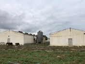 İcarəyə verilir 2 otaqlı 1800 m2 obyekt Novxanı