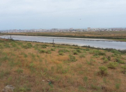 Satılır 10 sot torpaq Saray