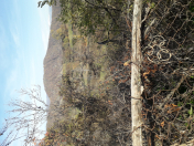 Satılır 10 sot torpaq Qəbələ