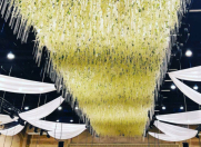 İcarəyə verilir 2 otaqlı 30 m2 həyət evi Astara