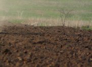 Satılır 6 sot torpaq Balaxanı