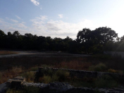 Satılır 12 sot torpaq Xudat