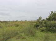 Satılır 25 sot torpaq Ləhic Bağları