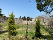 Satılır 10 sot torpaq Mərdəkan