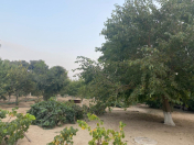 Satılır 24 sot torpaq Mərdəkan