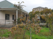 Satılır 12 sot torpaq Albalı