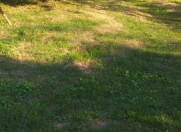 Satılır 3 sot torpaq Mərdəkan