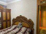 Satılır 3 otaqlı 82 m2 yeni tikili 8 mkr