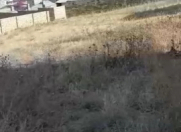 Satılır 18 sot torpaq Sulutəpə