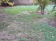 Satılır 6 sot torpaq Saray