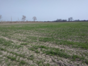 Satılır 100 sot torpaq Xudat