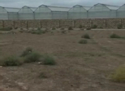 Satılır 3 sot torpaq Binə