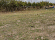 Satılır 15 sot torpaq Əhmədli