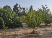 Satılır 8 sot torpaq Novxanı