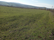 Satılır 200 sot torpaq İsmayıllı