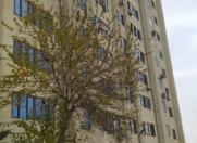 Satılır 3 otaqlı 103 m2 köhnə tikili Bayıl