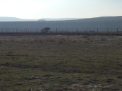 Satılır 150 sot torpaq Perekeşkül