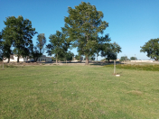 Satılır 5 sot torpaq Xaçmaz