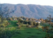 Satılır 6 sot torpaq Buzovna