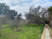 Satılır 26 sot torpaq Mərdəkan