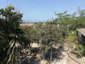 Satılır 16 sot torpaq Mərdəkan