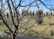 Satılır 8 sot torpaq Y.Suraxanı