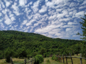 Satılır 18 sot torpaq İsmayıllı