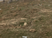 Satılır 6 sot torpaq Xocəsən