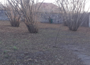 Satılır 15 sot torpaq İsmayıllı