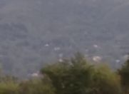 Satılır 103 sot torpaq Quba