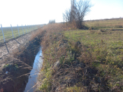 Satılır 121 sot torpaq Quba