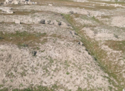 Satılır 8 sot torpaq Hökməli