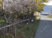 Satılır 8 sot torpaq Oğuz