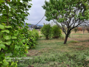 Satılır 20 sot torpaq Oğuz