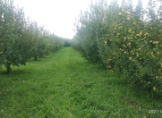 Satılır 200 sot torpaq Xaçmaz