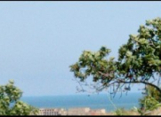 Satılır 50 sot torpaq Bilgəh