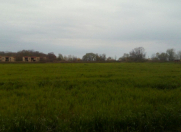 Satılır 500 sot torpaq Xaçmaz