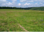 Satılır 24 sot torpaq Şabran