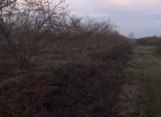 Satılır 900 sot torpaq Qusar