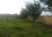 Satılır 12 sot torpaq İsmayıllı