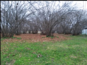 Satılır 26 sot torpaq Oğuz