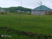 Satılır 11 sot torpaq Qəbələ