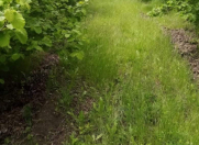 Satılır 10 sot torpaq Xaçmaz