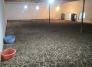 Satılır 7 sot torpaq Məhəmmədli