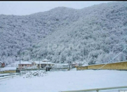 İcarəyə verilir 1 otaqlı 100 m2 həyət evi Qax